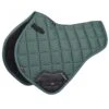 LeMieux Carbon Mesh CC Half Square - Sage -Equestrian Supplies Shop lmhalfccsage1rdy