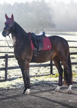 LeMieux Loire Classic Dressage Square - Rioja -Equestrian Supplies Shop lmloiredressrioja3rdy