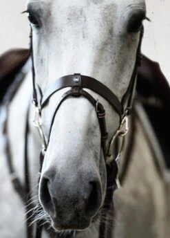 PS Of Sweden London Bridle - Black -Equestrian Supplies Shop londonbrn5rdy