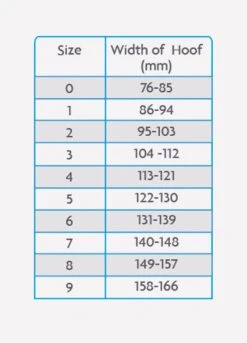 Woof Wear Medical Hoof Boot - Blue -Equestrian Supplies Shop medicalhoofchartrdy