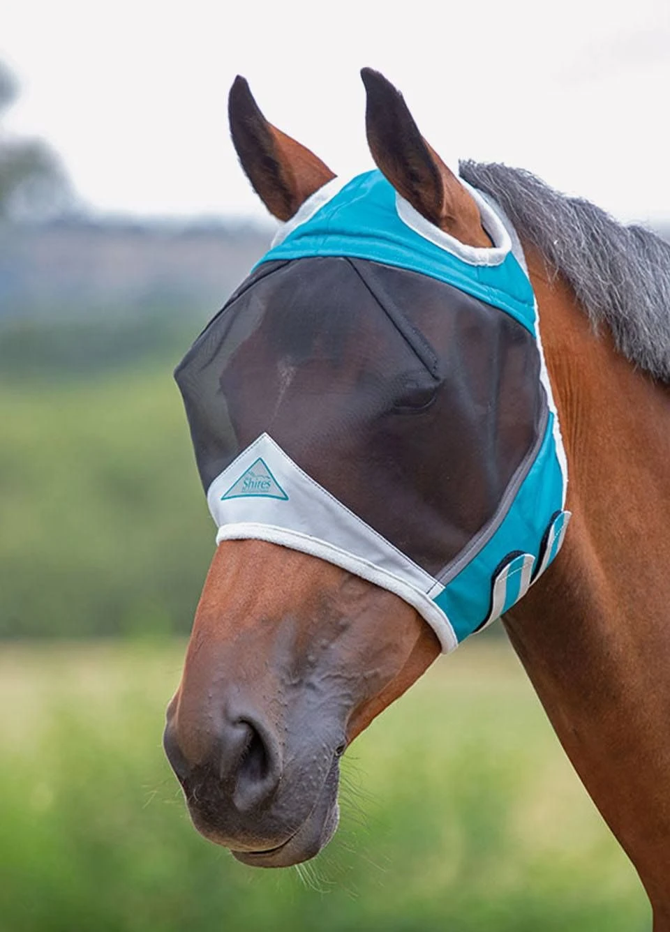 Shires Fine Mesh Fly Mask With Ear Holes - Teal 3 Shires Fine Mesh Fly Mask With Ear Holes - Teal