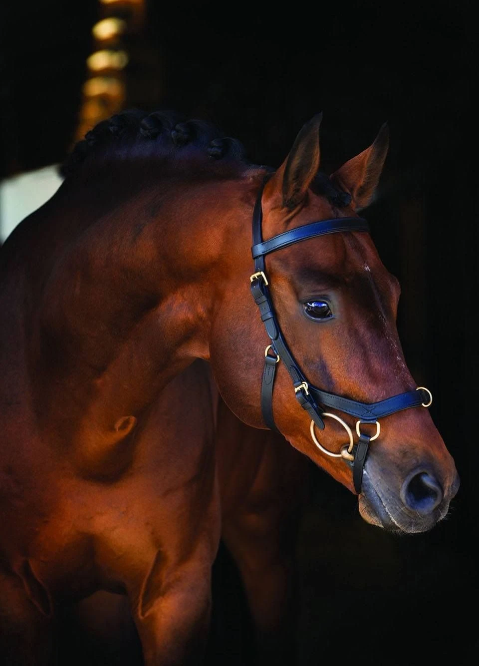 Rambo Micklem Multi Bridle - Black 3 Rambo Micklem Multi Bridle - Black