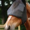 Equilibrium Field Relief Midi Fly Mask With Ears - Black/Orange 2 Equilibrium Field Relief Midi Fly Mask With Ears - Black/Orange -Equestrian Supplies Shop midiwithearsflymask