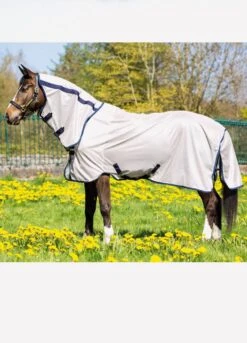 Amigo Mio Fly Rug - Bronze/Navy