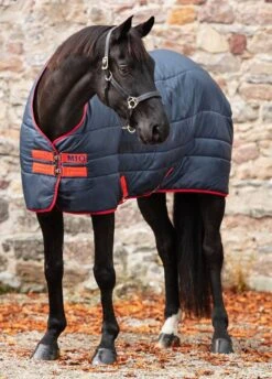 Amigo Mio Insulator Medium - Navy/Red