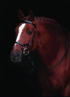 Rambo Micklem Competition Bridle - Black