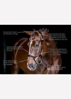 Ps Of Sweden Nirak Bridle - Black -Equestrian Supplies Shop nirak12 1