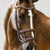 PS Of Sweden Paris Bridle - Brown -Equestrian Supplies Shop parisbrn3rdy