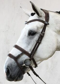 PS Of Sweden Paris Bridle - Brown -Equestrian Supplies Shop parisbrn4rdy