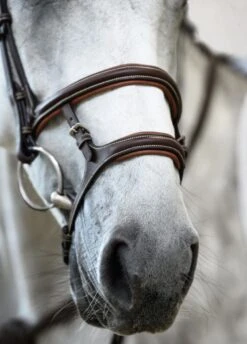 PS Of Sweden Paris Bridle - Brown -Equestrian Supplies Shop parisbrn5rdy