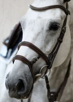 PS Of Sweden Paris Bridle - Brown -Equestrian Supplies Shop parisbrn7rdy