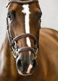 PS Of Sweden Paris Bridle - Brown -Equestrian Supplies Shop parisbrnrdy