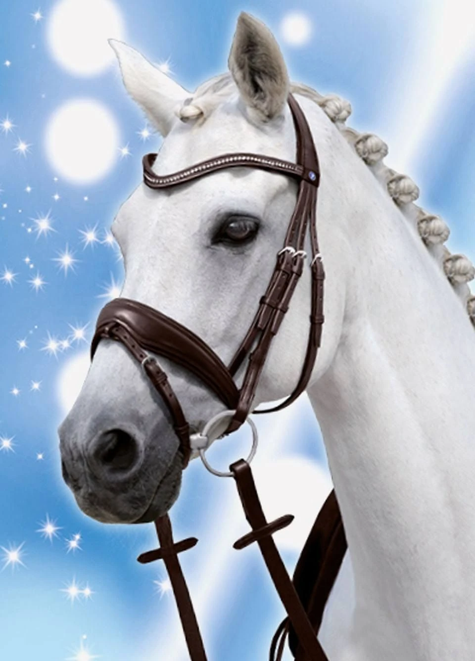 Passierblu Spirit Snaffle Bridle - Havana 4 Passierblu Spirit Snaffle Bridle - Havana - Image 2