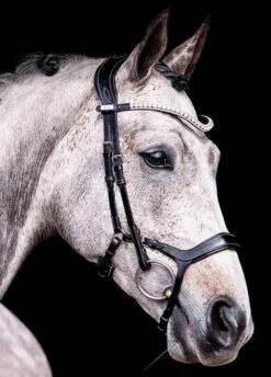 Ps Of Sweden Pioneer Bridle - Black -Equestrian Supplies Shop pioneer11 1