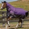 Weatherbeeta Comfitec Plus Dynamic Combo Med/Lite Turnout - Purple/Black -Equestrian Supplies Shop plusdynamiccomboliterdy