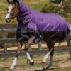 Weatherbeeta ComFiTec Plus Dynamic Combo Medium Turnout - Purple/Black -Equestrian Supplies Shop plusdynamiccombomedum