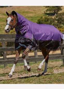 Weatherbeeta ComFiTec Plus Dynamic Combo Medium Turnout - Purple/Black