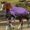 WeatherBeeta ComFiTec Plus Dynamic Standard Neck Lite Rug - Purple/Black -Equestrian Supplies Shop plusdynamicstdlite2rdy