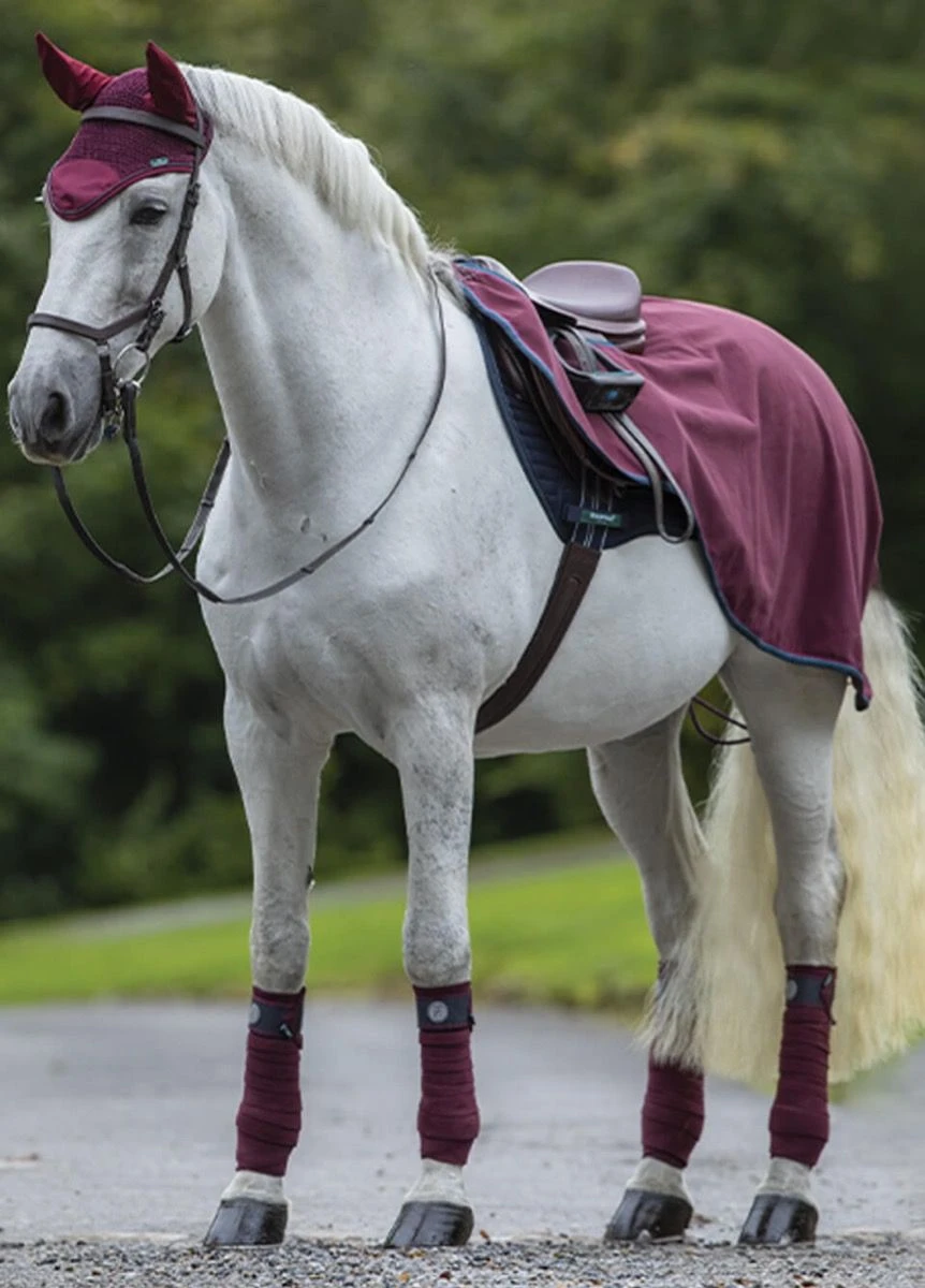 Rambo Waterproof Fleece Competition Sheet - Burgundy/Teal/Navy 3 Rambo Waterproof Fleece Competition Sheet - Burgundy/Teal/Navy