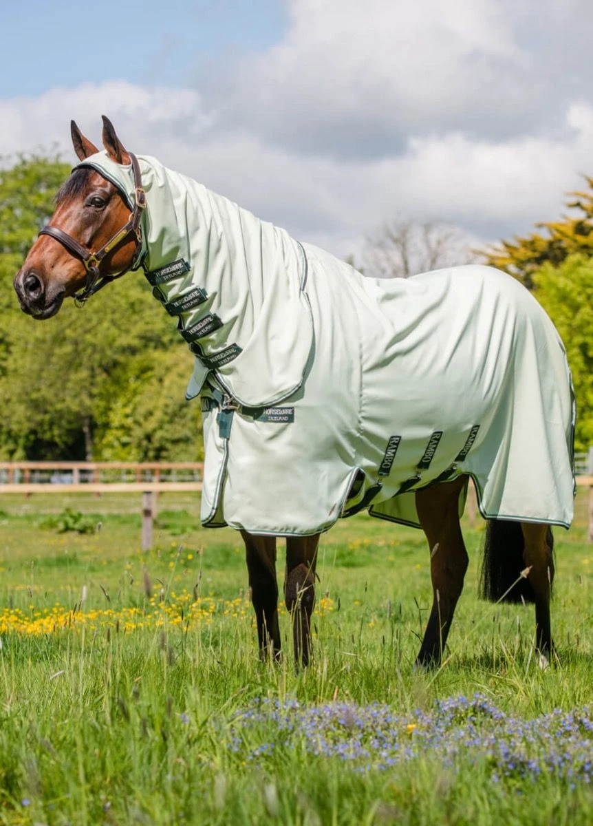 Rambo Hoody - Green/Sage 3 Rambo Hoody - Green/Sage