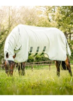 Rambo Hoody - Green/Sage 8 Rambo Hoody - Green/Sage -Equestrian Supplies Shop rambo hoody green sage 3rdy