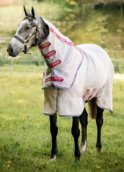 Rambo Protector Disc Front - Oatmeal/Cherry