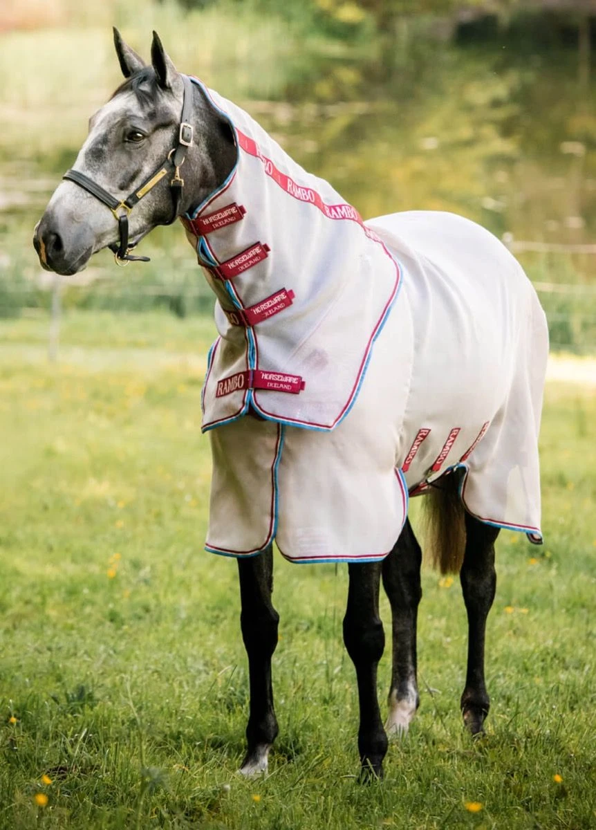 Rambo Protector Disc Front - Oatmeal/Cherry 3 Rambo Protector Disc Front - Oatmeal/Cherry