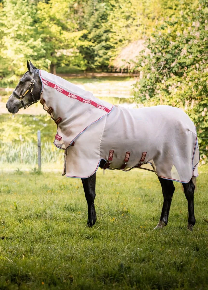 Rambo Protector Disc Front - Oatmeal/Cherry 4 Rambo Protector Disc Front - Oatmeal/Cherry - Image 2