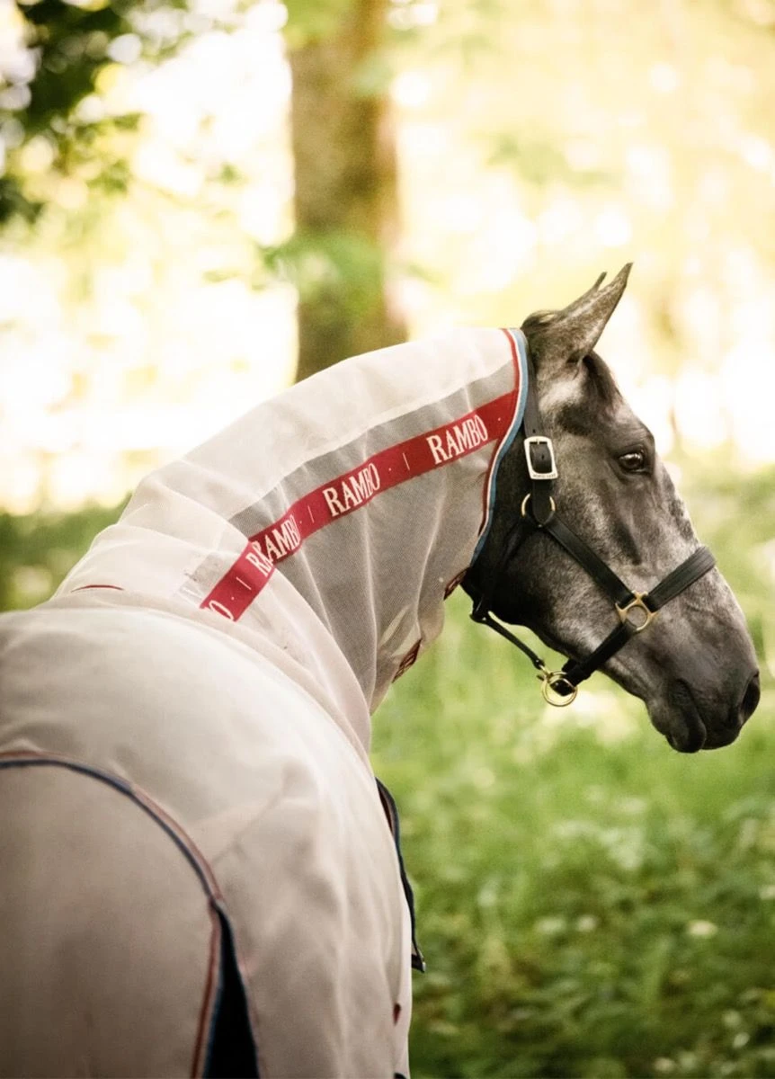 Rambo Protector Disc Front - Oatmeal/Cherry 7 Rambo Protector Disc Front - Oatmeal/Cherry - Image 5