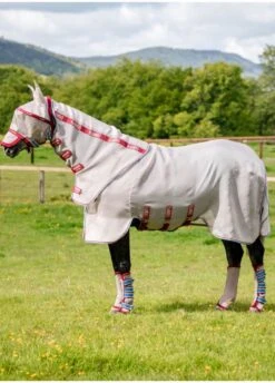 Rambo Protector Disc Front - Oatmeal/Cherry 13 Rambo Protector Disc Front - Oatmeal/Cherry -Equestrian Supplies Shop rambo protector oatmeal cherry 6rdy