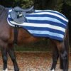 Rambo Fleece Competition Sheet - Navy Stripe -Equestrian Supplies Shop rambocompetitionsheet2