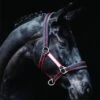 Rambo Padded Headcollar - Witney Cherry -Equestrian Supplies Shop rambopaddedheadcollar witneycherry