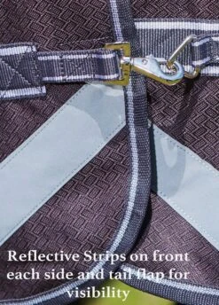 Weatherbeeta ComFiTec Plus Dynamic Combo Medium/Lite Turnout - Teal/Cer/Yell -Equestrian Supplies Shop reflectivestrips 5