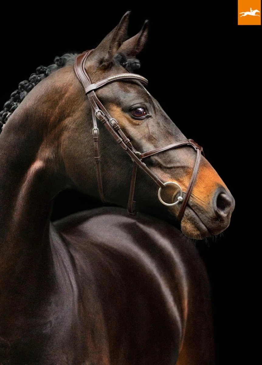 Schockemohle Rio Select Anatomical Bridle - Brown 4 Schockemohle Rio Select Anatomical Bridle - Brown - Image 2