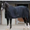 New Bucas Shamrock Power Rug - Black -Equestrian Supplies Shop samrockblack