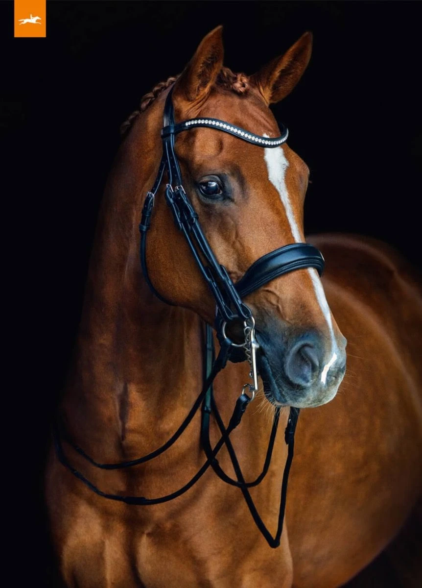 Schockemohle Venice Rolled Double Bridle - Black 3 Schockemohle Venice Rolled Double Bridle - Black