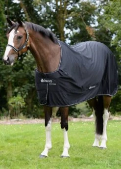 New Bucas Shamrock Power Rug - Black -Equestrian Supplies Shop shamrockpowerblkrdy