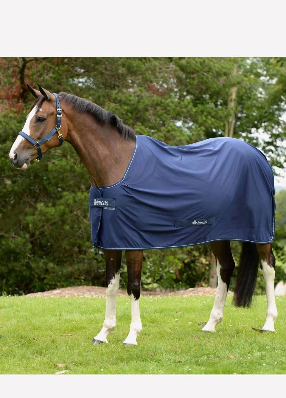 New Bucas Shamrock Power Rug - Navy 4 New Bucas Shamrock Power Rug - Navy - Image 2