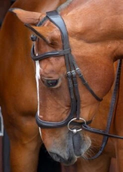 Shires RAPIDA Ergonomic Cavesson Bridle W/reins - Havana