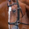 Shires Rapida Ergonomic Curved Flash Bridle - Black 1 Shires Rapida Ergonomic Curved Flash Bridle - Black -Equestrian Supplies Shop shires curved flash black 1rdy
