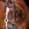 Shires Velociti RAPIDA Grackle Bridle - Black -Equestrian Supplies Shop shires grackle bridle black 1rdy
