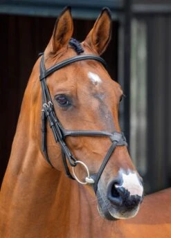 Shires Lusso Grackle Bridle - Black