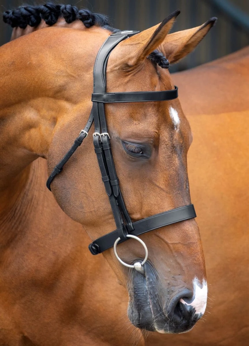 Shires Lusso Hunter Cavesson Bridle - Black 3 Shires Lusso Hunter Cavesson Bridle - Black