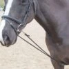 Shires Soft Lunging Aid - Black -Equestrian Supplies Shop shires soft lunge aid black 1rdy
