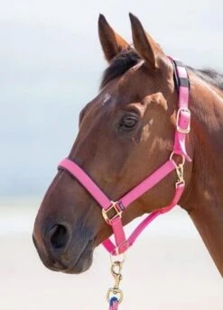 Shires Topaz Nylon Headcollar - Pink