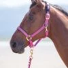 Shires Topaz Padded Headcollar - Raspberry -Equestrian Supplies Shop shirestopazheadcollarraspberryrdy