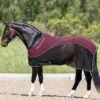 Rambo Sport Cooler - Black/Pomegranate 1 Rambo Sport Cooler - Black/Pomegranate -Equestrian Supplies Shop sportcooler