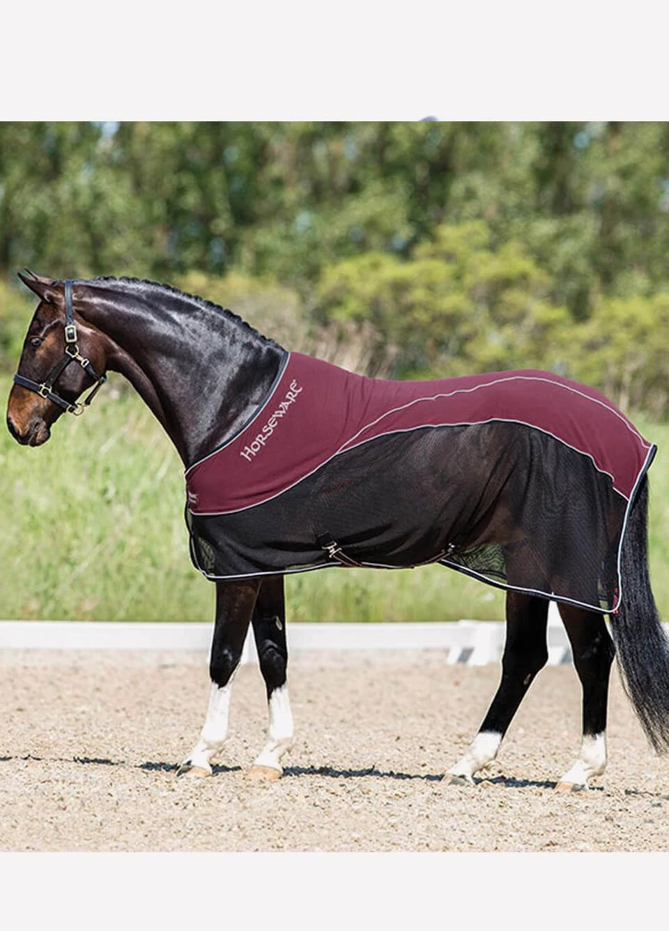 Rambo Sport Cooler - Black/Pomegranate 3 Rambo Sport Cooler - Black/Pomegranate