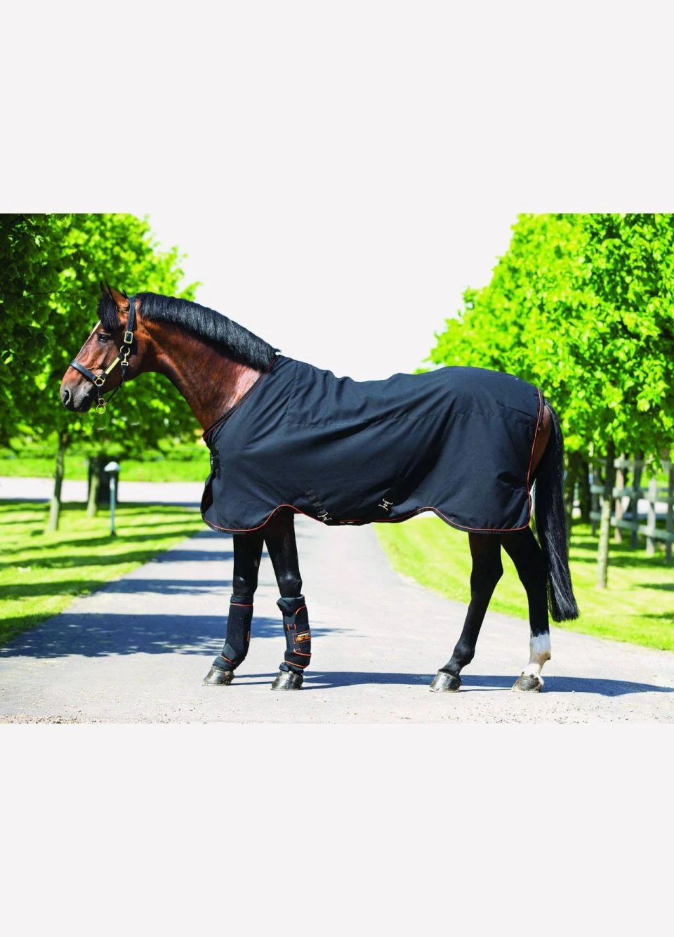 Rambo Ionic Stable Sheet - Black 3 Rambo Ionic Stable Sheet - Black