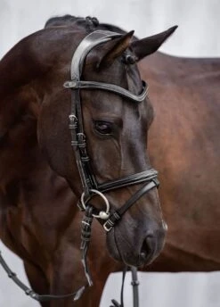 PS Of Sweden Stockholm Bridle - Black